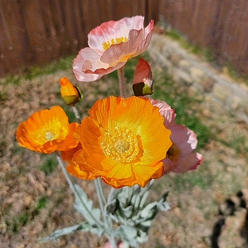 8-Pack Real-Touch Artificial Poppies Flowers - Vibrant, Lifelike, and Durable Plastic Floral Arrangements for Versatile Fall and All-Season Decor - Perfect for Reunion, Home, Living Room, Christmas, Halloween, Easter, Hanukkah, and Thanksgiving Decoration