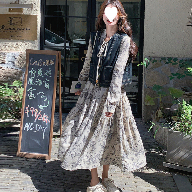 New Chinese ink painting dress set women's 2025 spring clothes new temperament gentle wind denim vest two-piece set
