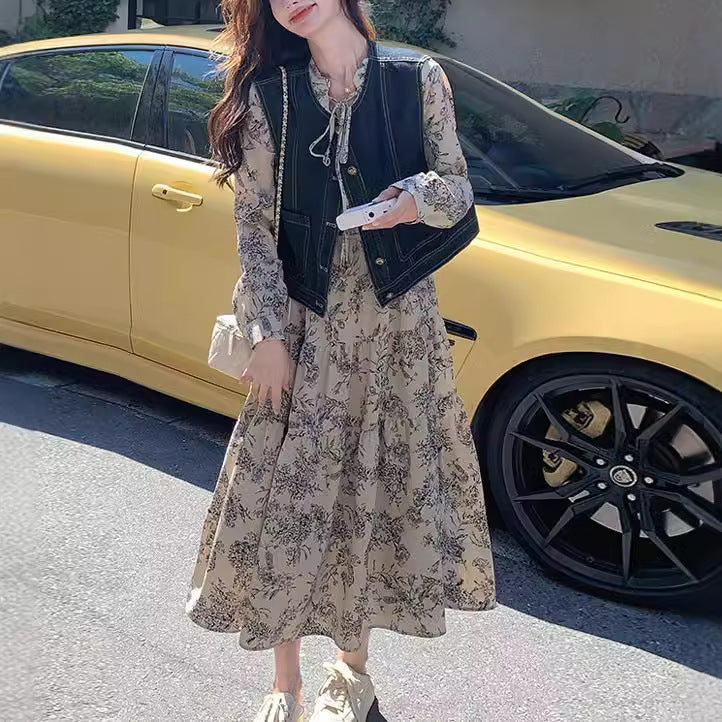 New Chinese ink painting dress set women's 2025 spring clothes new temperament gentle wind denim vest two-piece set