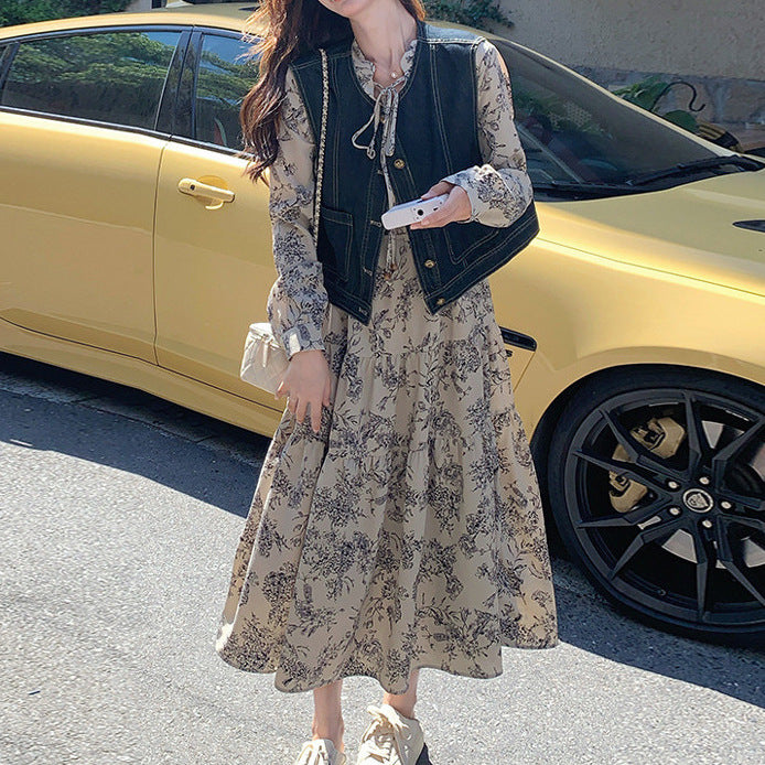 New Chinese ink painting dress set women's 2025 spring clothes new temperament gentle wind denim vest two-piece set