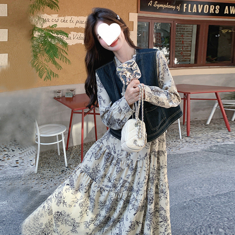 New Chinese ink painting dress set women's 2025 spring clothes new temperament gentle wind denim vest two-piece set