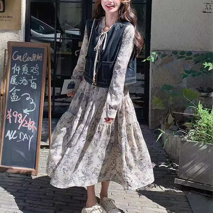New Chinese ink painting dress set women's 2025 spring clothes new temperament gentle wind denim vest two-piece set