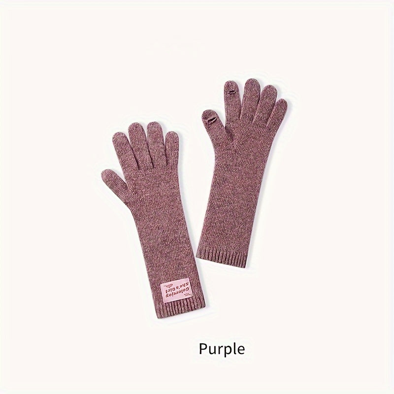 1 Pair Autumn And Winter Knitted Warm Gloves, Women's Outdoor Plus Velvet Thickened Windproof Coldproof Touch Screen Warm Gloves