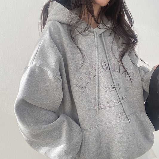 VAKKV Manufacturer wholesale sweater women's Hong Kong style chic super good-looking spring, autumn and winter thin loose high-end casual versatile top